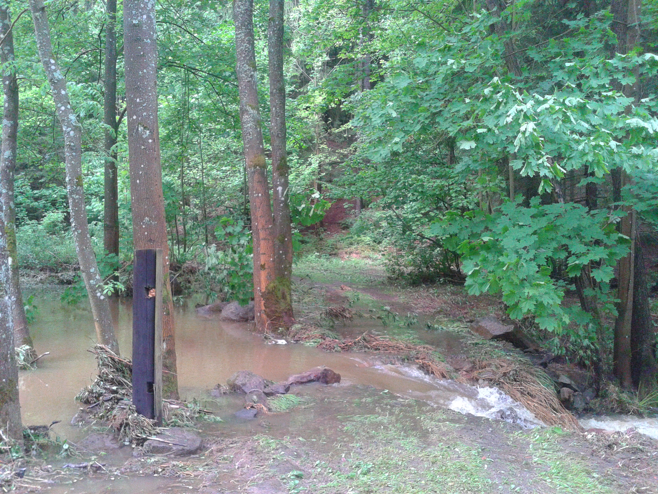 Mostek 2 neděle poledne