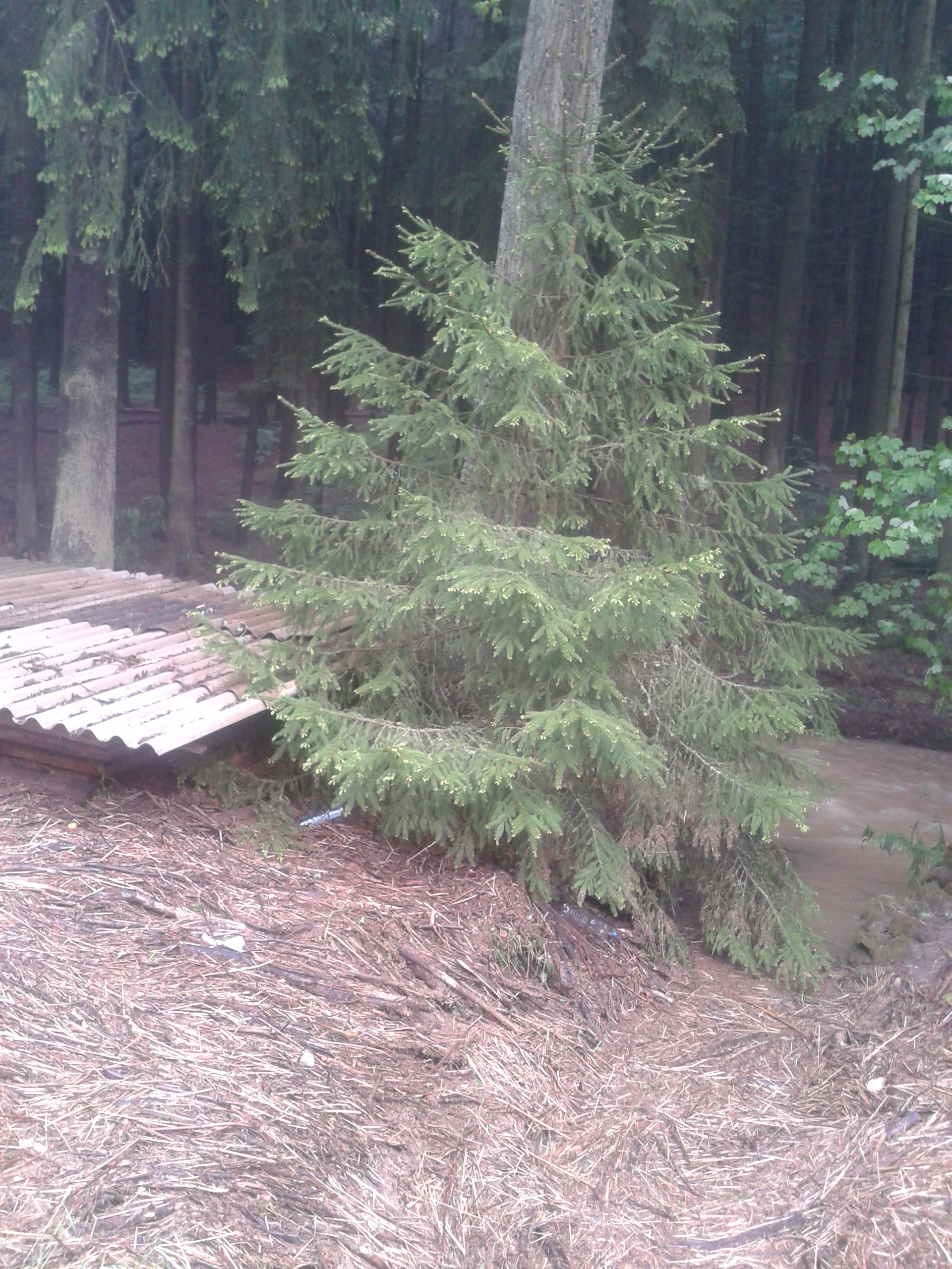 odtok se změnil v náhon neděle ráno