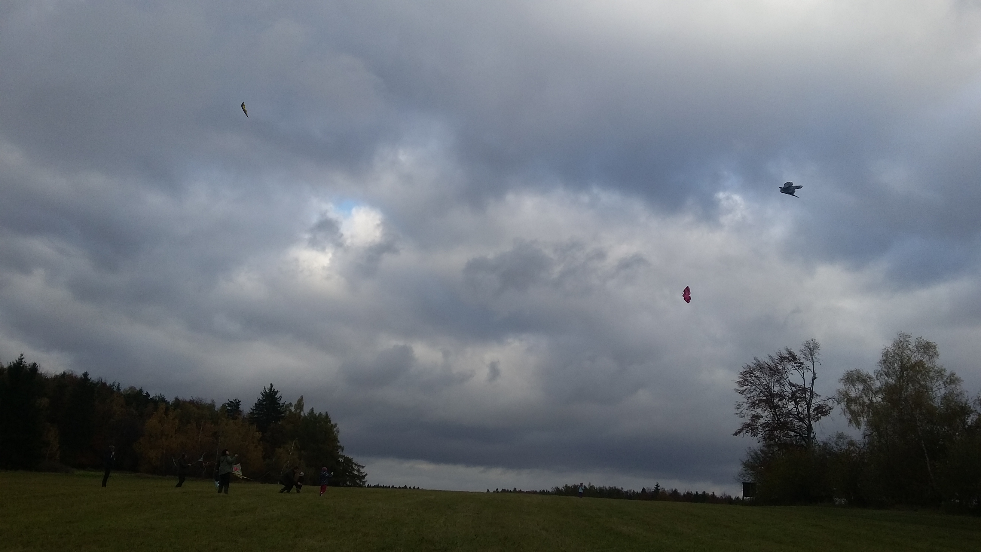 20161030_144330
