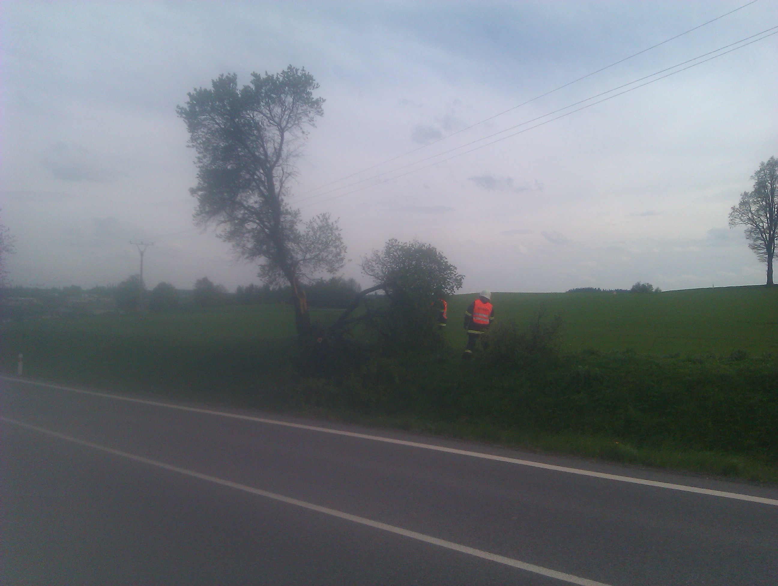 IMAG0730