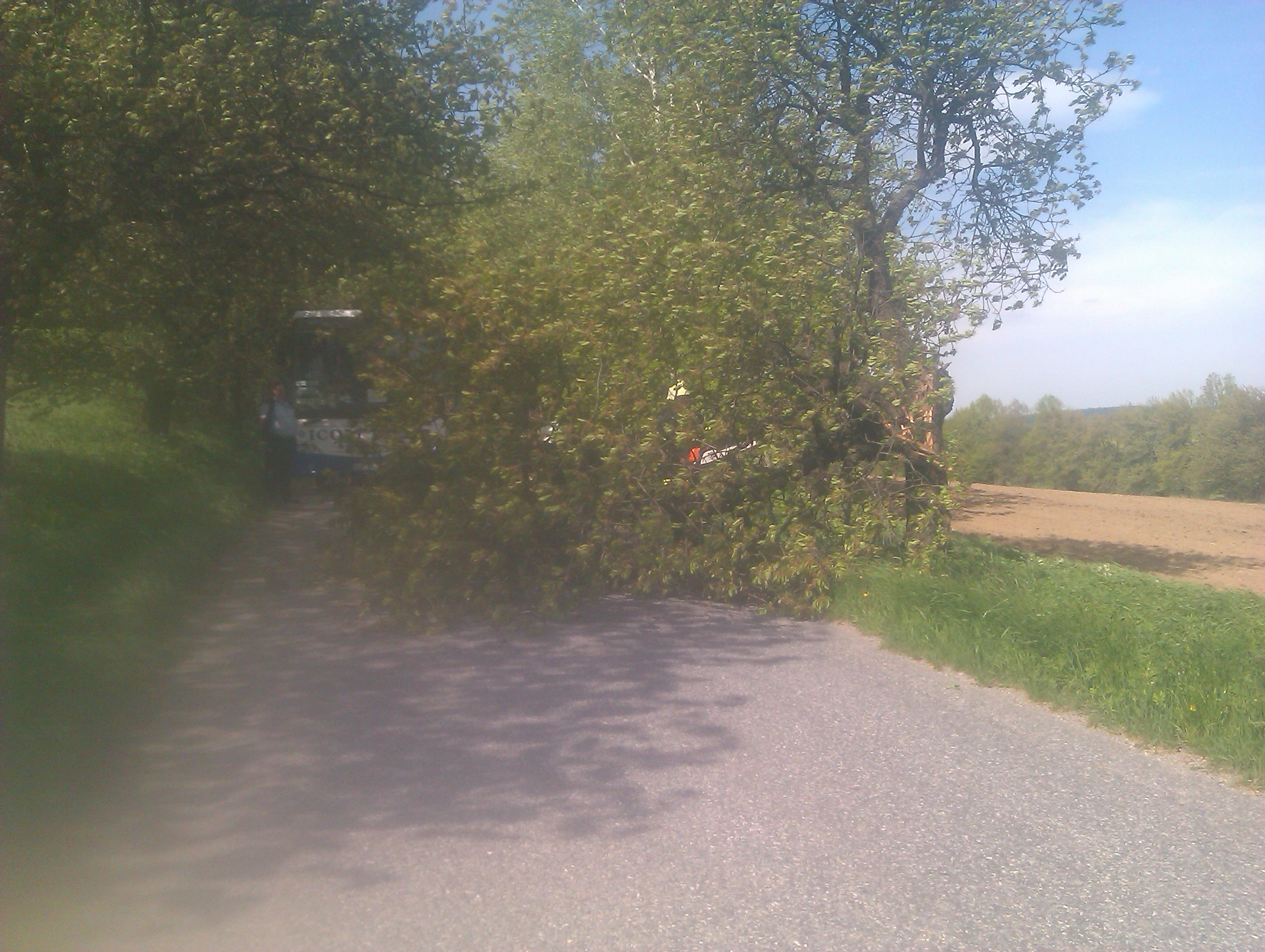 IMAG0721