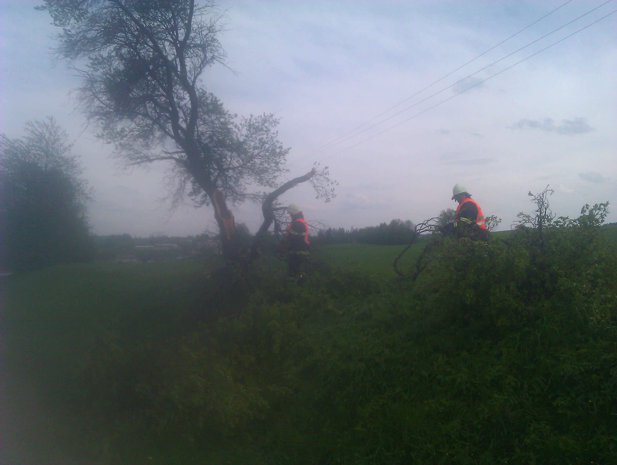 IMAG0733